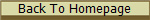 Back To Homepage